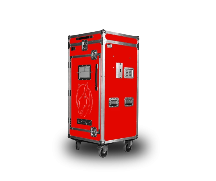 Paka jeździecka Junior Rider - Klasyczna czerwień | Cavlux; Saddle box Junior Rider - Cherry Red | Cavlux; Sattelschrank Junior Rider - Klassisches Rot | Cavlux