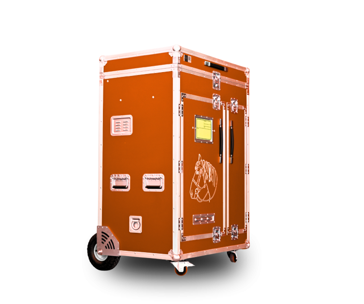 Paka jeździecka Superior Rider - Owocowy pomarańcz | Cavlux; Saddle box Superior Rider - Mango Twist | Cavlux; Sattelschrank Superior Rider - Mango-Orange | Cavlux