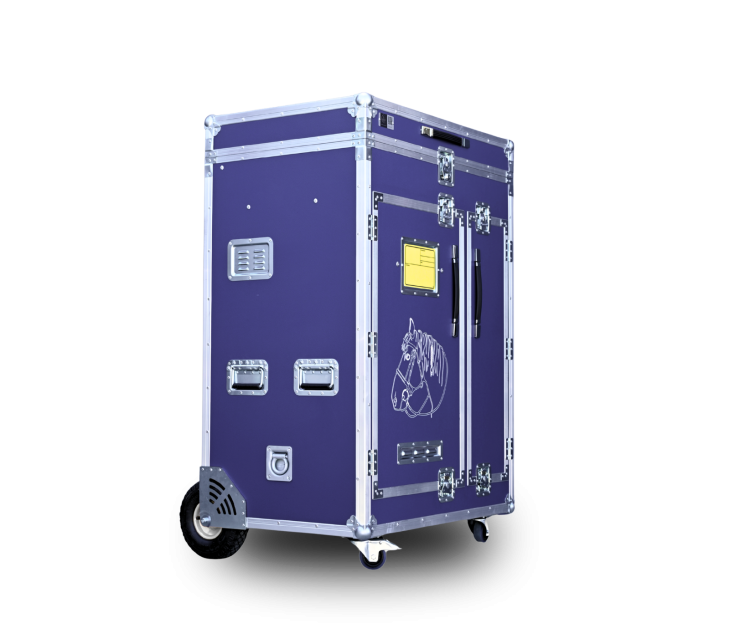 Paka jeździecka Superior Rider - Jagodowy fiolet | Cavlux; Saddle box Superior Rider - Berry Purple | Cavlux; Sattelschrank Superior Rider - Beerenviolett | Cavlux