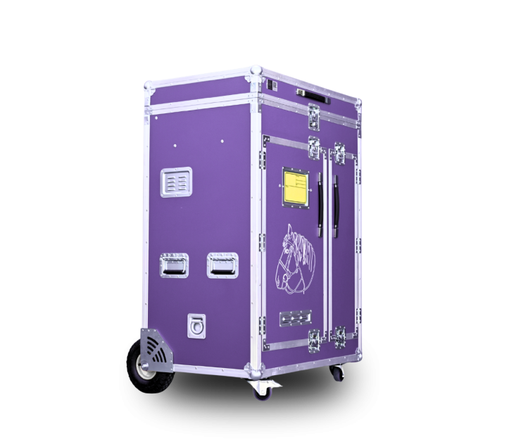 Paka jeździecka Superior Rider - Lawendowy fiolet | Cavlux;  Saddle box Superior Rider - Lavender Purple | Cavlux; Sattelschrank Superior Rider - Lavendelviolett | Cavlux