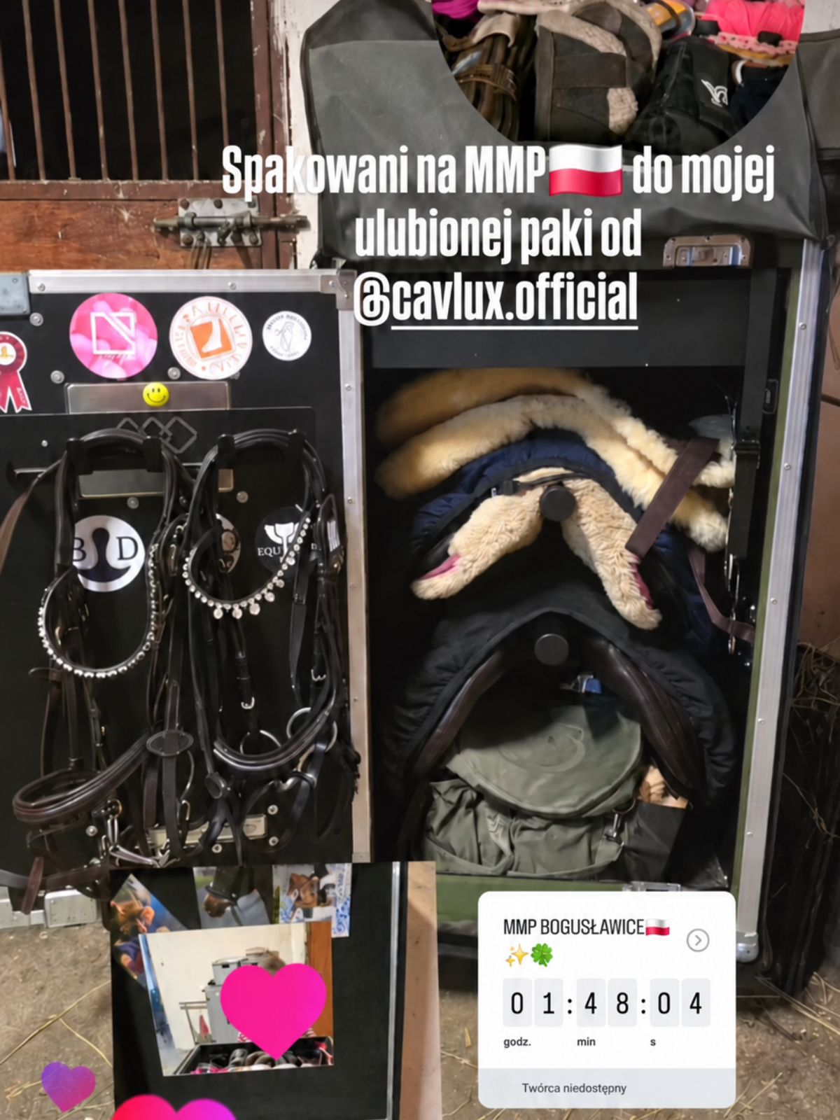 Cavlux Junior Rider spakowany na zawody MMP